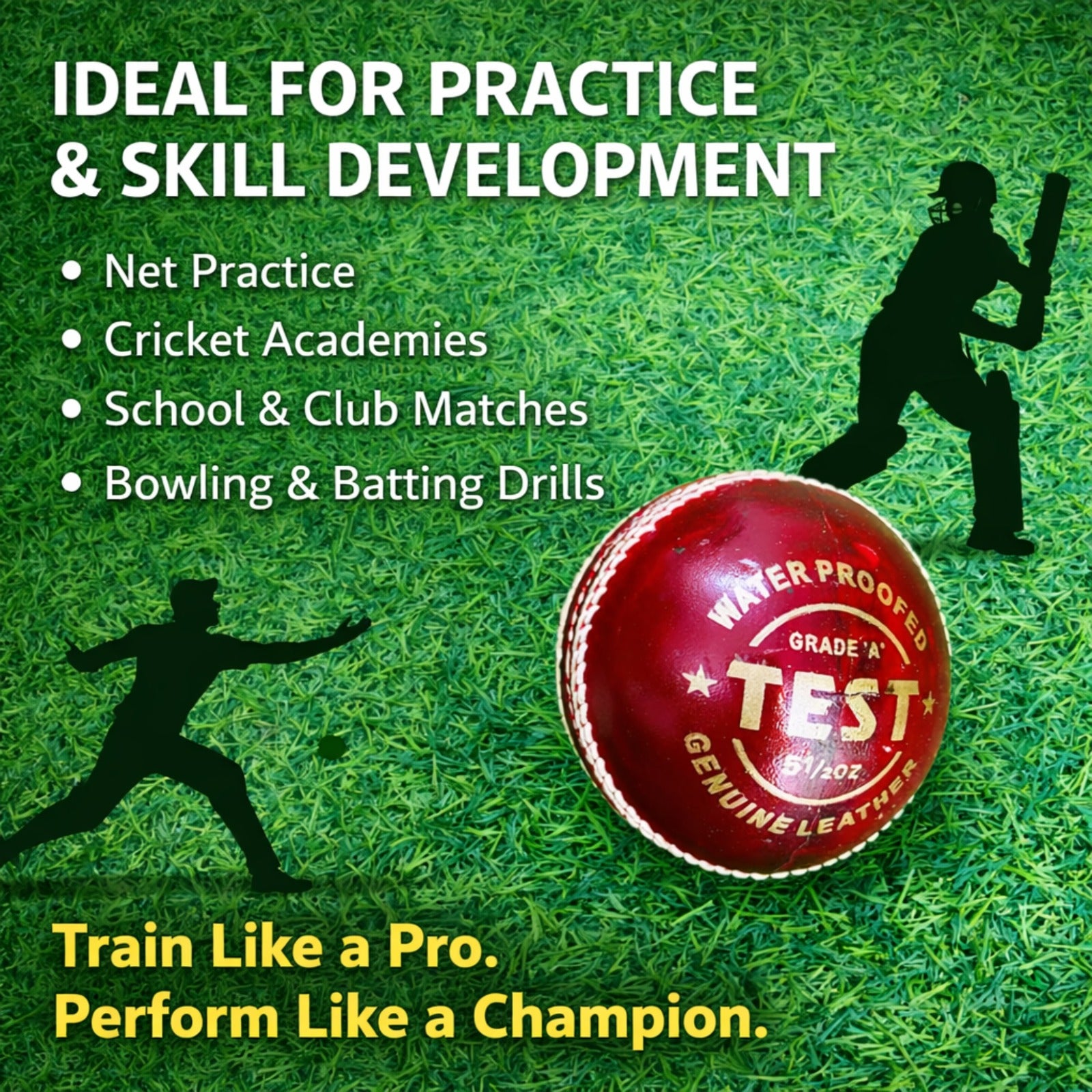 Sterozide Leather Cricket Ball for Practice &amp; Training | for Kids, Youth &amp; Adults | Indoor &amp; Outdoor Cricket, Coaching, Fitness, Recreation | Standard Size Training Ball | Pack of 6 Balls |