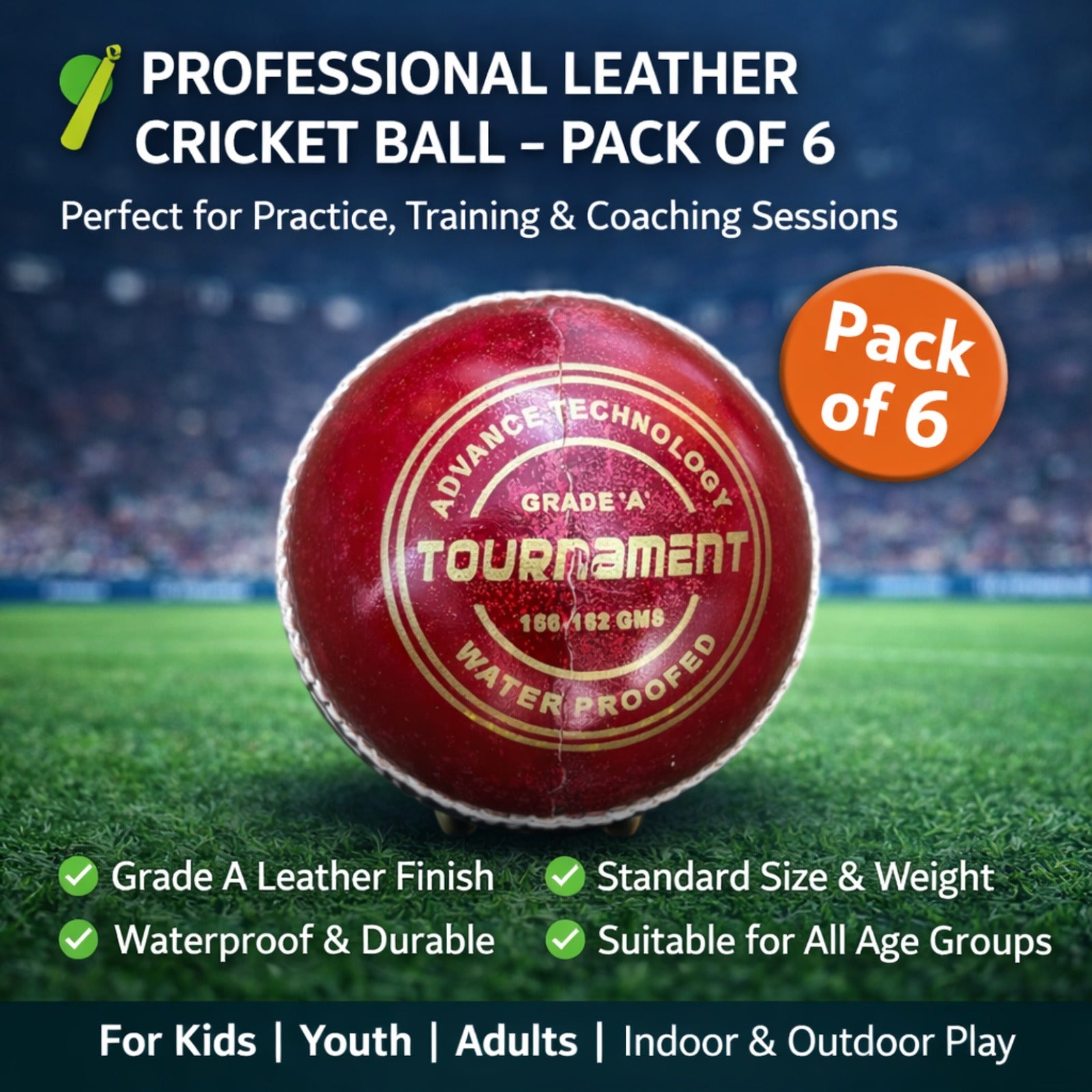 Sterozide Leather Cricket Ball for Practice &amp; Training | for Kids, Youth &amp; Adults | Indoor &amp; Outdoor Cricket, Coaching, Fitness, Recreation | Standard Size Training Ball | Pack of 6 Balls |