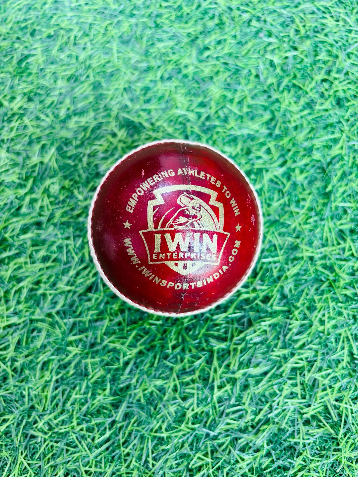 Leather Cricket Ball for Practice &amp; Training | for Kids, Youth &amp; Adults | Indoor &amp; Outdoor Cricket, Coaching, Fitness, Recreation | Standard Size Training Ball | Pack of 6 Balls |