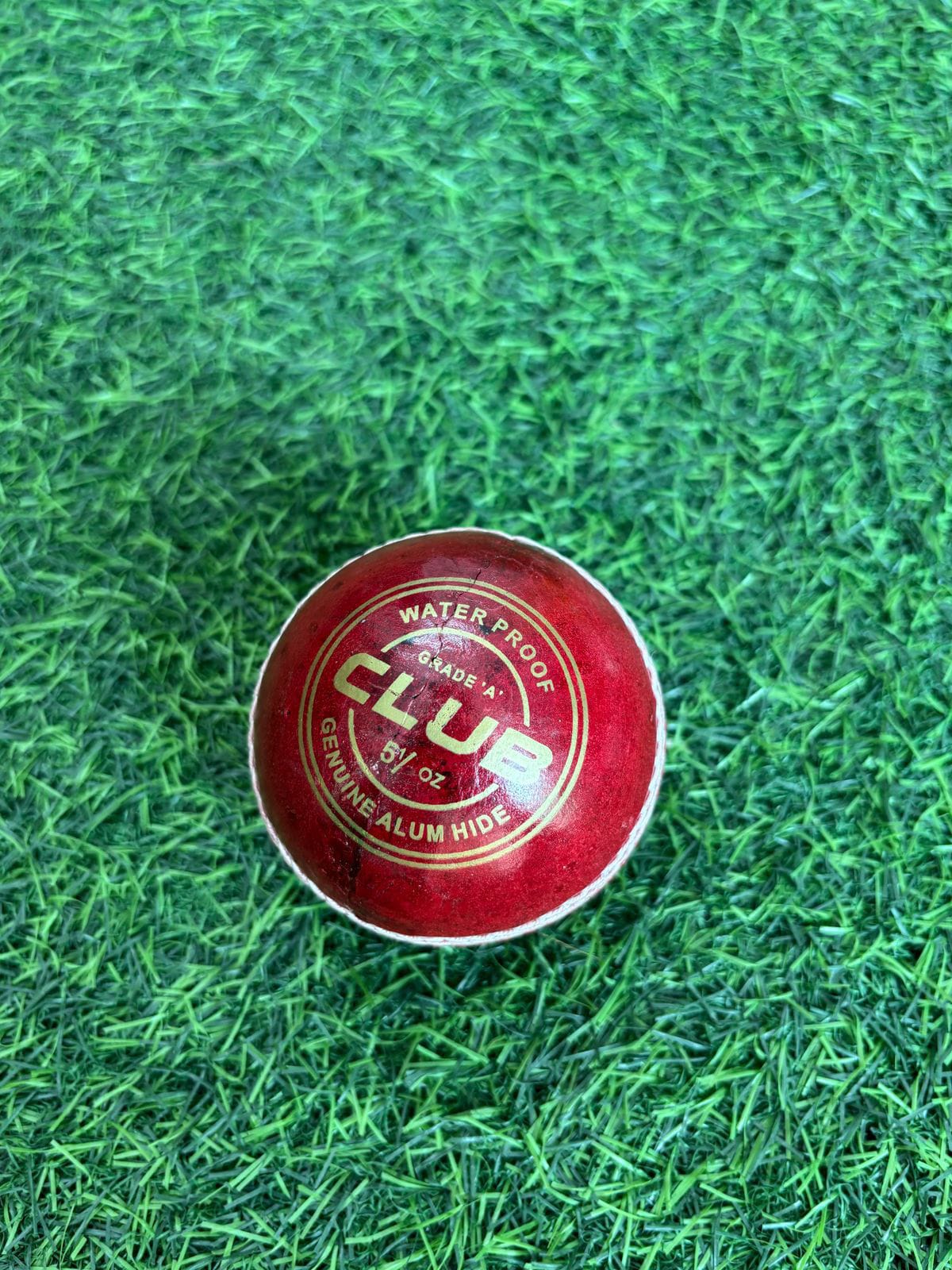 Leather Cricket Ball for Practice &amp; Training | for Kids, Youth &amp; Adults | Indoor &amp; Outdoor Cricket, Coaching, Fitness, Recreation | Standard Size Training Ball | Pack of 6 Balls |